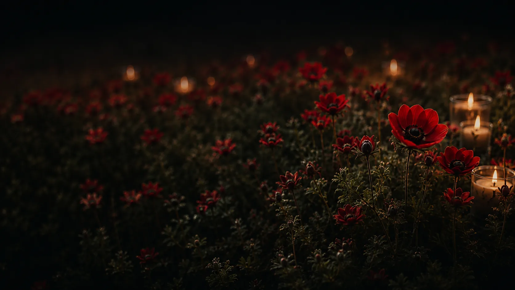 Kallanit flowers and memorial candles at night
